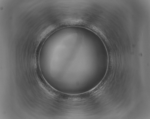 X0000076380582200610161117