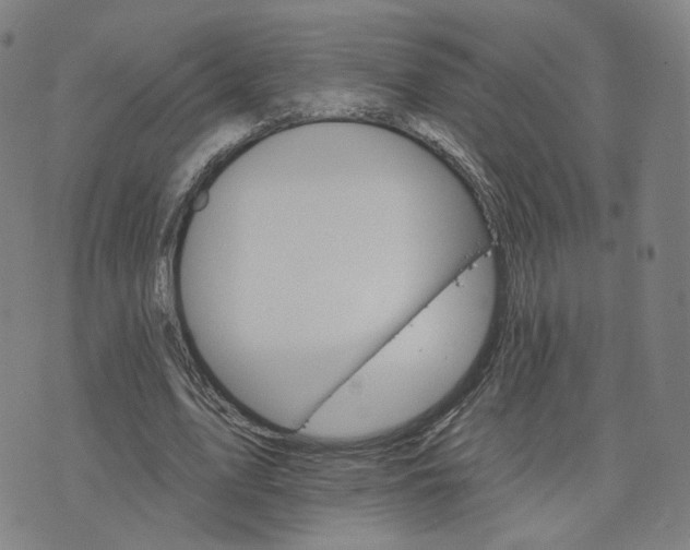 X0000076380583200610161117