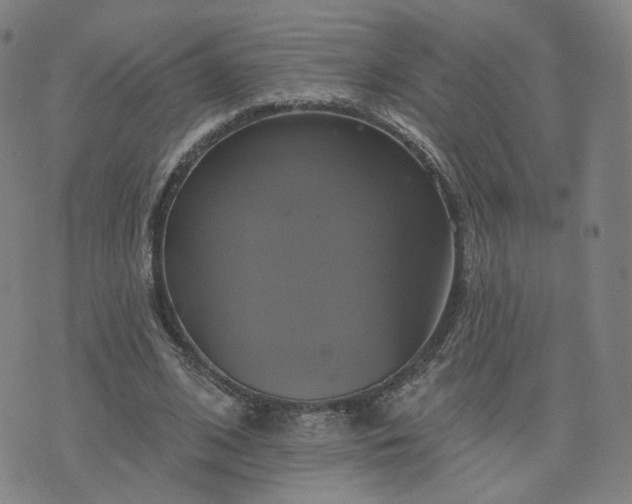 X0000076380584200610161117