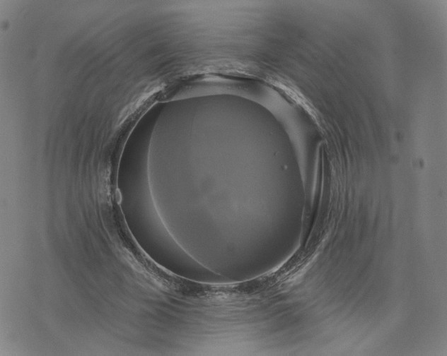 X0000076380585200610161117