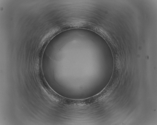 X0000076380586200610161117