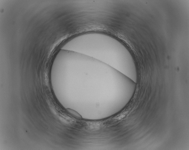 X0000076380587200610161117