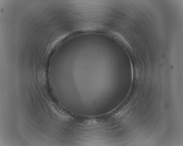 X0000076380588200610161117