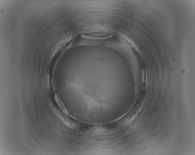 X0000076380589200610161117