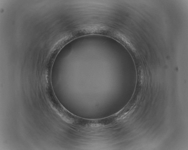 X0000076380590200610161117