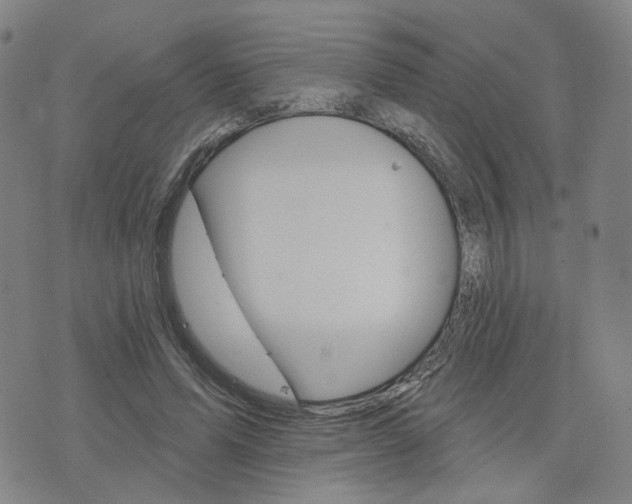 X0000076380591200610161117