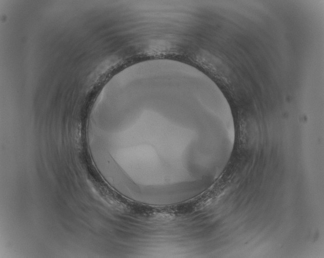 X0000076380592200610161117