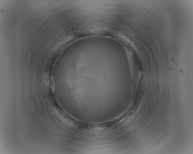 X0000076380593200610161117