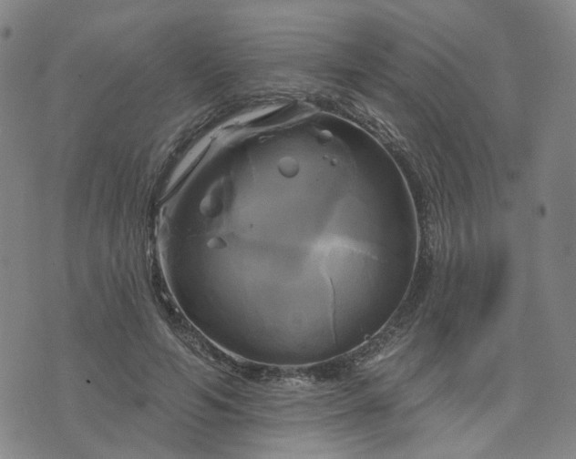 X0000076380594200610161117