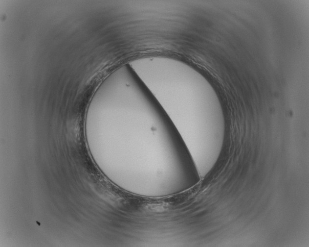 X0000076380595200610161117