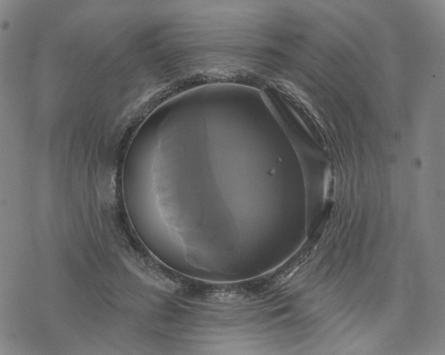 X0000076380596200610161117