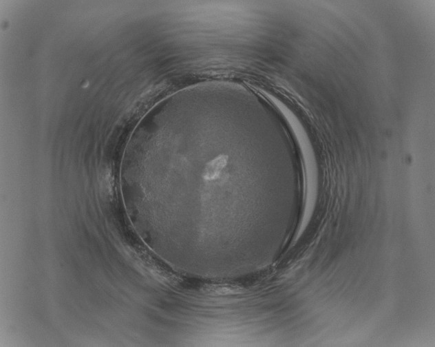 X0000076380597200610161117