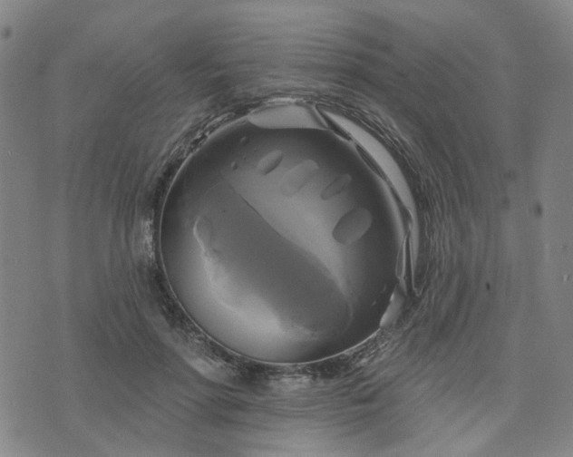 X0000076380598200610161117