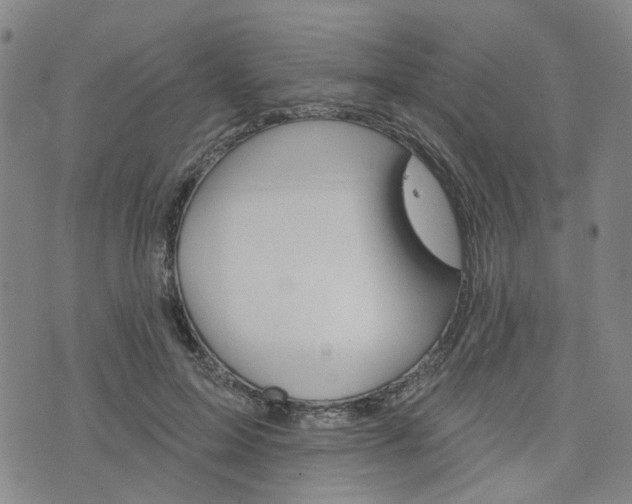 X0000076380599200610161117