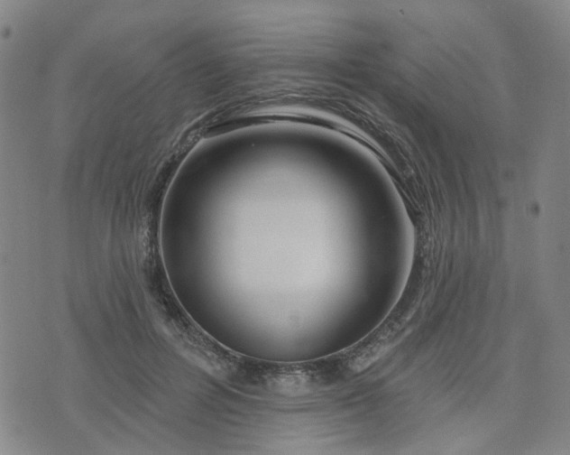 X0000076380600200610161117