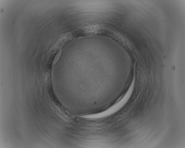 X0000076380601200610161117