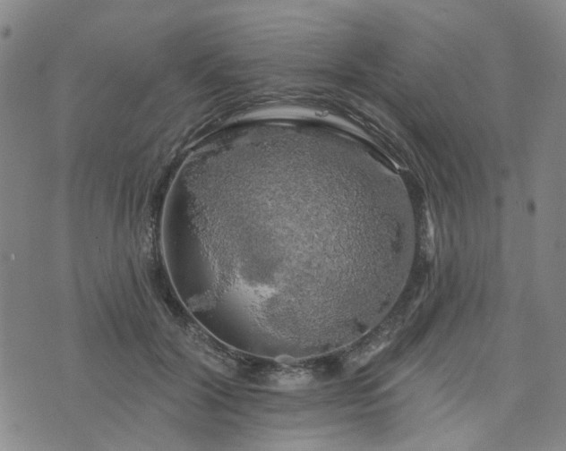 X0000076380604200610161117