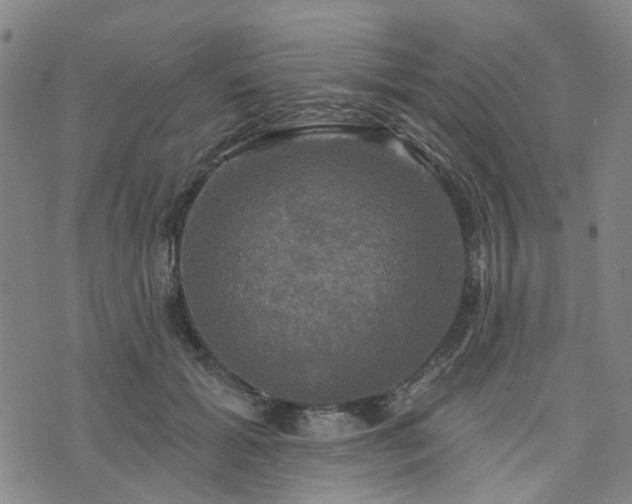 X0000076380605200610161117