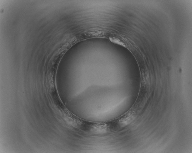 X0000076380606200610161117