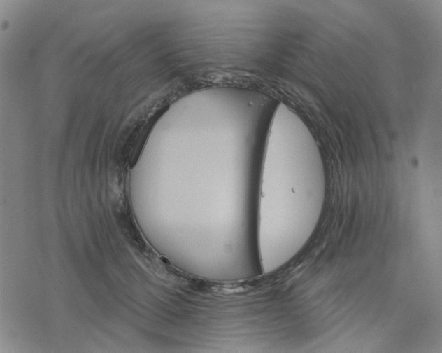 X0000076380607200610161117