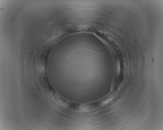 X0000076380608200610161117