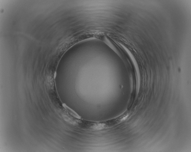 X0000076380609200610161117