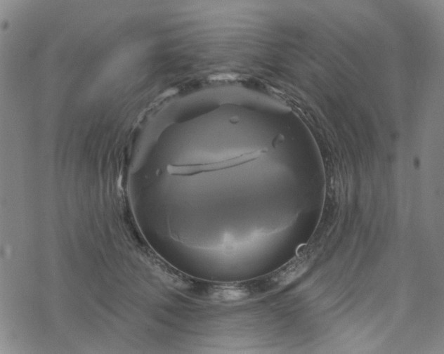 X0000076380610200610161117