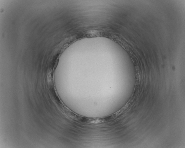 X0000076380611200610161117