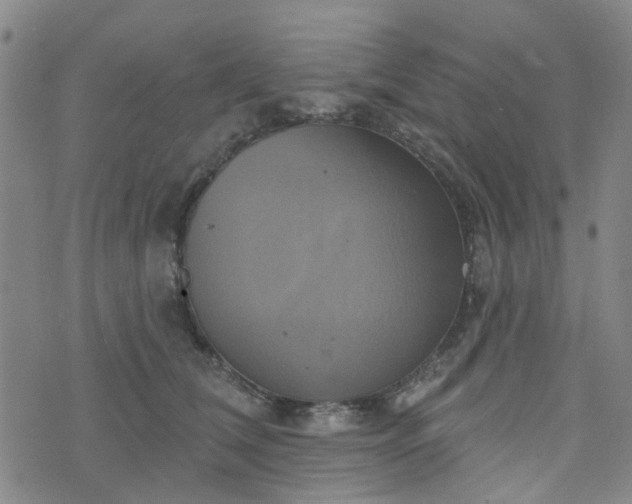 X0000076380612200610161117