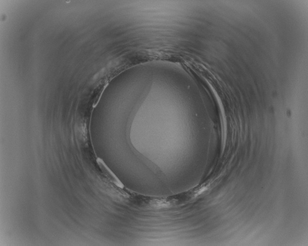 X0000076380613200610161117