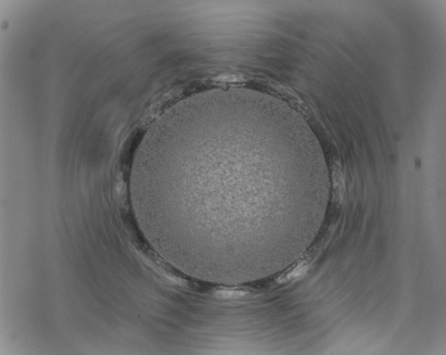 X0000076380614200610161117