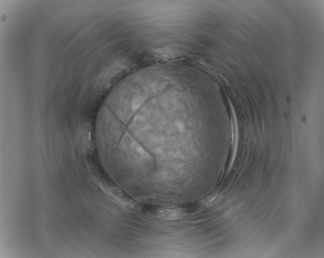 X0000076380615200610161117