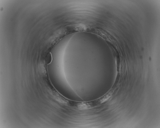 X0000076380616200610161117