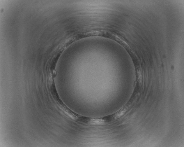 X0000076380617200610161116