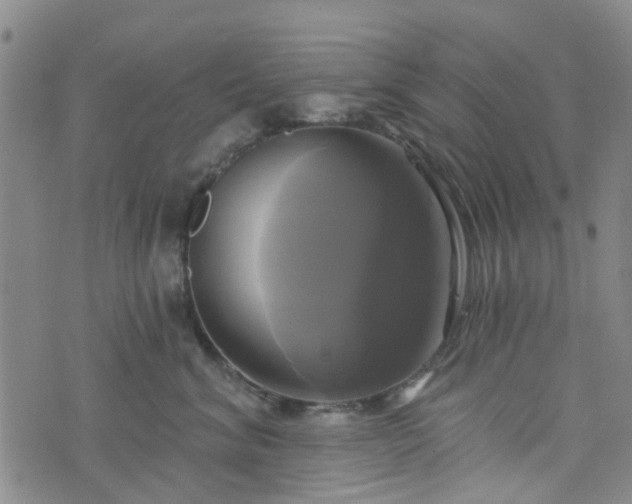 X0000076380620200610161116