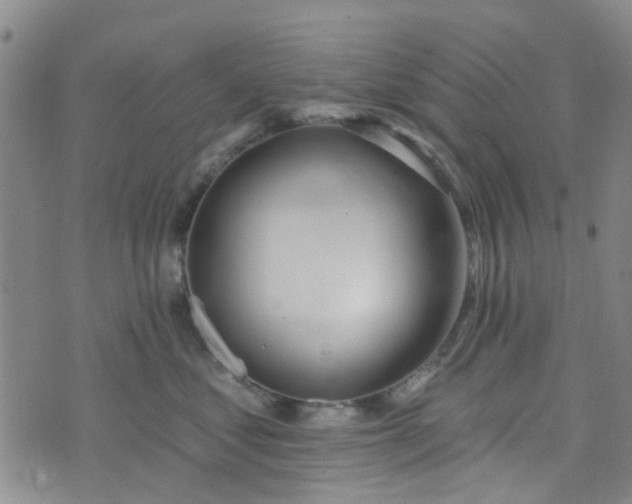 X0000076380621200610161116