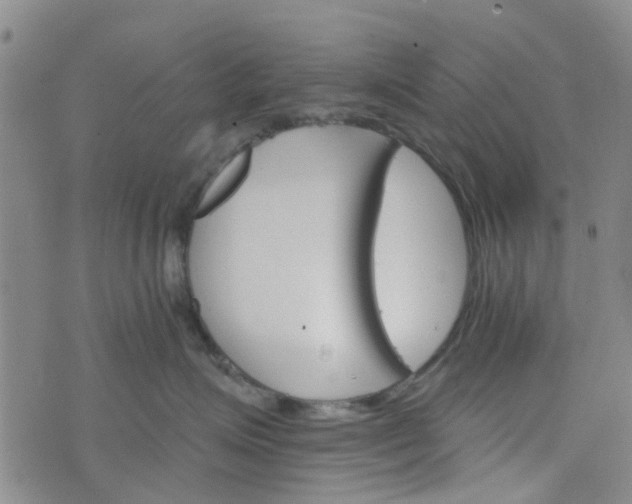 X0000076380623200610161116