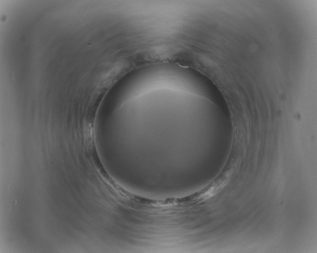 X0000076380624200610161116