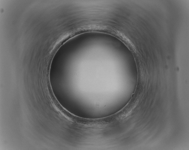 X0000076380625200610161116