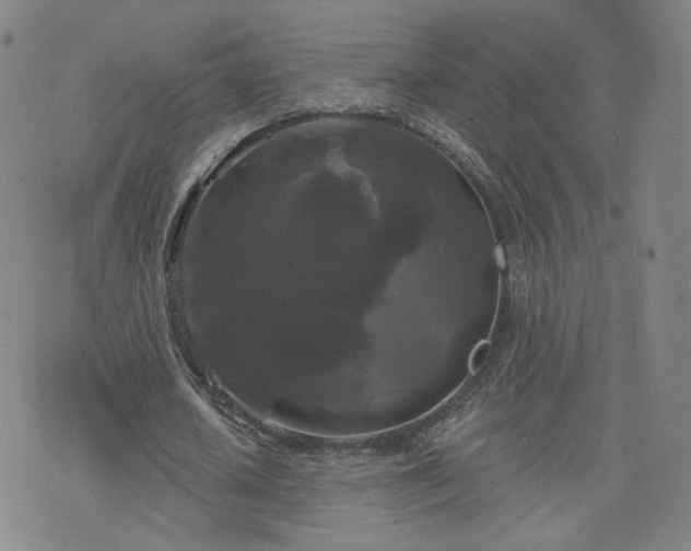 X0000076380626200610161116