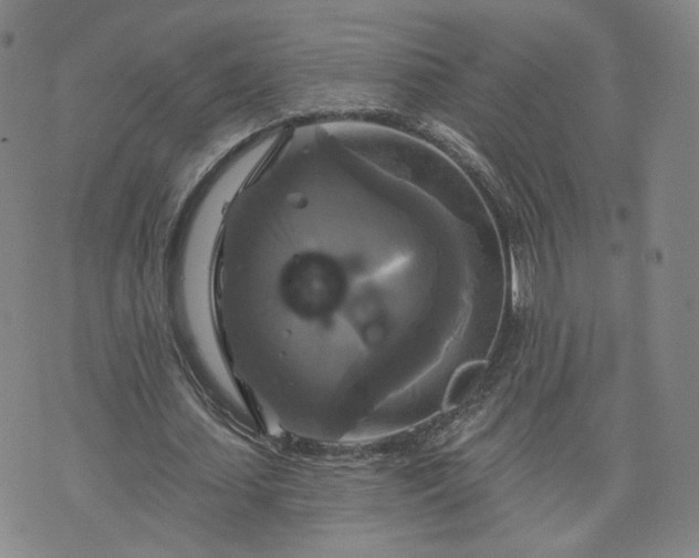 X0000076380627200610161116