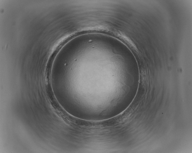 X0000076380628200610161116