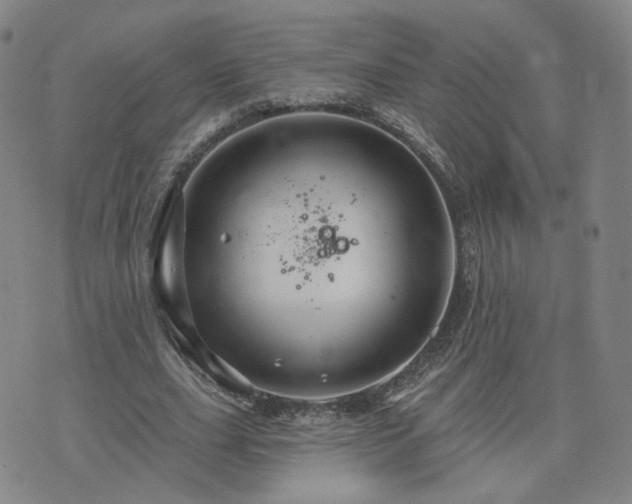 X0000076380631200610161116