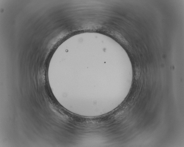 X0000076380632200610161116