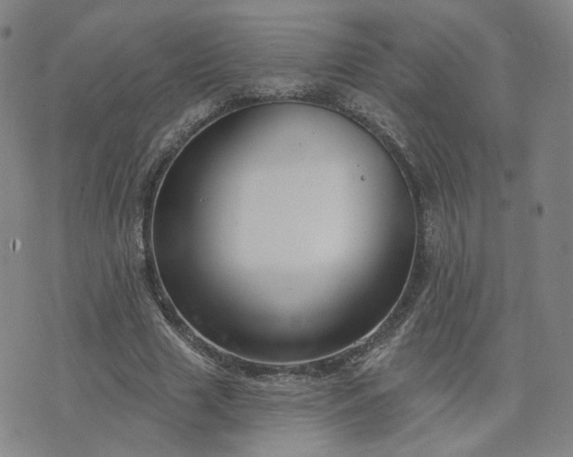 X0000076380633200610161116