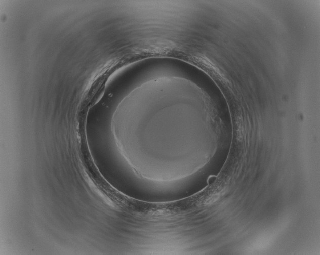 X0000076380634200610161116