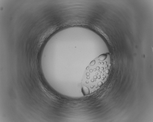 X0000076380635200610161116