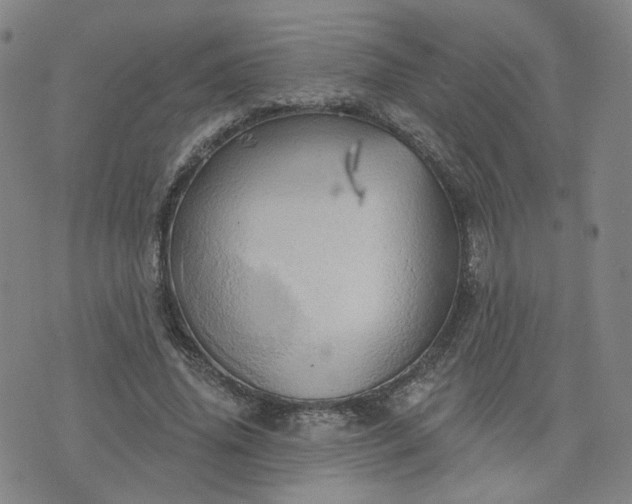 X0000076380636200610161116