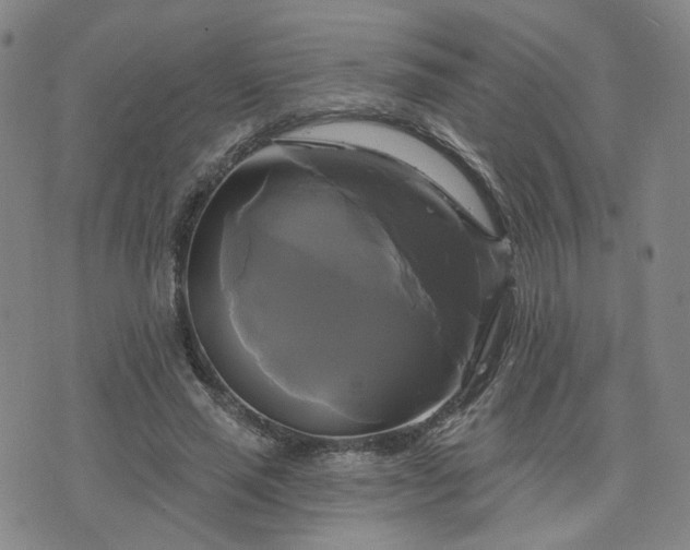 X0000076380637200610161116