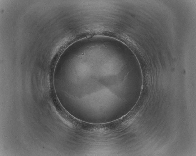 X0000076380638200610161116